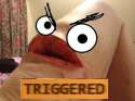 triggered.jpg
