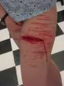 cutting.jpg