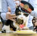 2015-06-28T164023Z_330359377_GF10000142513_RTRMADP_3_JAPAN-ANIMALS.jpg