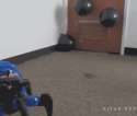 1455477165960.gif