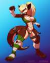 225_1458873338.creamytea_shadowolfox_fightin_stance_colored.png