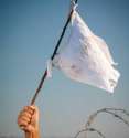 WE SURRENDER ISIS.jpg