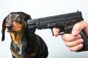 Dog-Killer-Cops-00newheader38440382.jpg