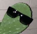 kektus.png
