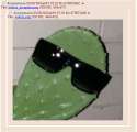 kektus_inception_inception.png