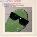 kektus_inception_inception_inception.png