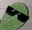 lastpic.jpg