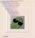 were_in_too_deep.png