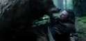 leonardo-dicaprio-bear-zoom-9a5777a8-5b6e-4159-b06a-43947ff66122.jpg