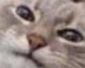 Huh+_0f923b825127726eb197252878749d27.jpg