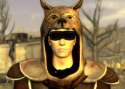 Vulpes_Inculta.jpg