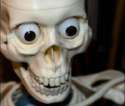 skeltalEyes.jpg