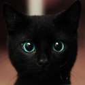 thisisonefuckinggoodlookingkitty.jpg