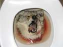 myToiletHowlsAtNightHelpMe.jpg