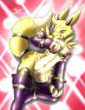 Digimon 17.jpg