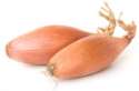 Shallot-300x199.jpg