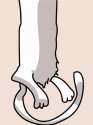 Longcat p3.png