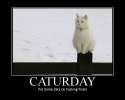 It_1b1b33_1764870.jpg