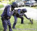 swatcat.png