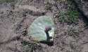 received_1765048870395338.jpg