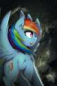 1448587764.thebatfang_rd_determined_storm.jpg