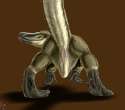 raptor16.jpg