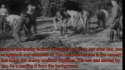 international jewry is the Allied cement..png