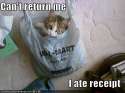 cat-wal-mart-bag.jpg