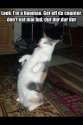 cat-humanimpersonator.jpg