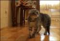 1447301953022.gif