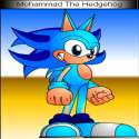 mohammad_the_hedgehog_by_mohammadthehedgehog.png