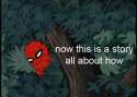 spider-meme-7.gif