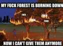 the-fuck-forest_o_743128.png