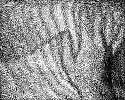 1430667731424.gif
