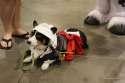 PHXCC2014_IMG_0105.jpg