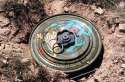 Pokemon+land+mines+used+self+destruct_c6626f_4589560.jpg