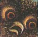 19c3950959790649bce55b6765ff499e.png