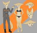 faux fox.png