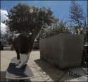 1421494735652.gif