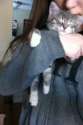 IMG_50012011_138967223_54007214.jpg