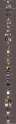 g.png