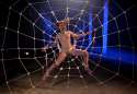 sands-spiderweb.jpg