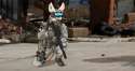 tacticoolfox.png