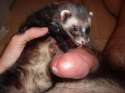 DSC0002.jpg