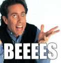 bees.jpg