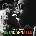 Reincarnated Cover.jpg