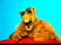 Alf - HAH!.jpg