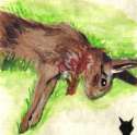 kill judy.jpg