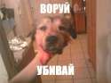 1404226691476.jpg
