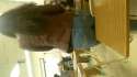 SpyPhoto_20150424_103445190.jpg